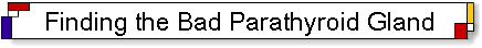 MRI and CAT scan for parathyroid glands in patients with parathyroid disease.