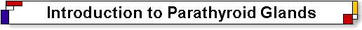 Introduction to parathyroid glands, parathyroid function, parathyroid disease and parathyroid treatment.