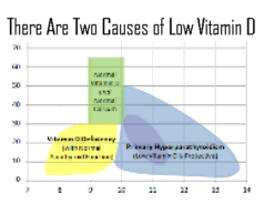 Low Vitamin D