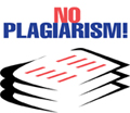 Don't Copy Our Website!